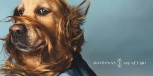 madonna max