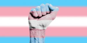 Transgender flag & fist